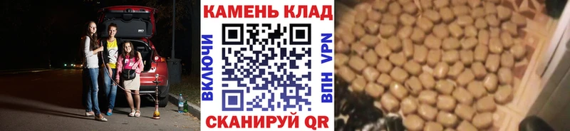 Купить закладки  Александровское  Гашиш убойный 