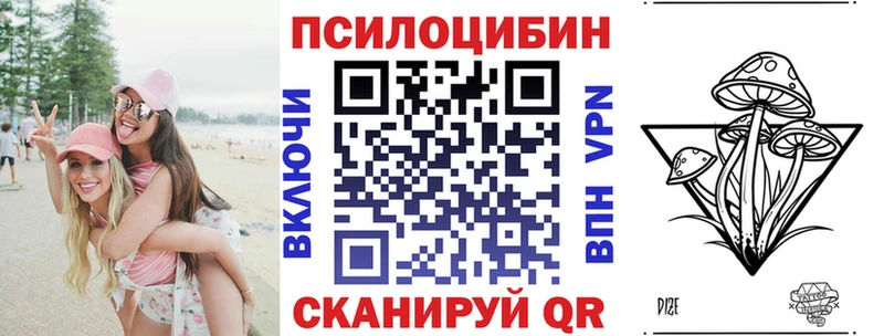 Псилоцибиновые грибы Cubensis  Купить закладки  Александровское
