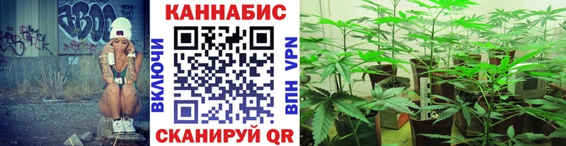 Бошки марихуана LSD WEED  Купить где  Александровское 